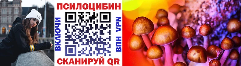 Псилоцибиновые грибы мицелий  Татарск 
